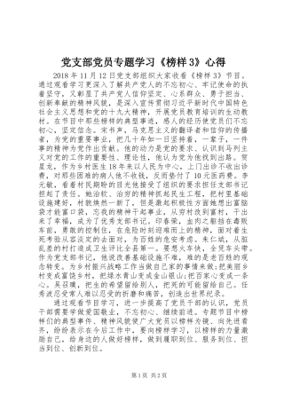 党支部党员专题学习《榜样3》心得