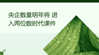 央企数量明年将进入两位数时代课件
