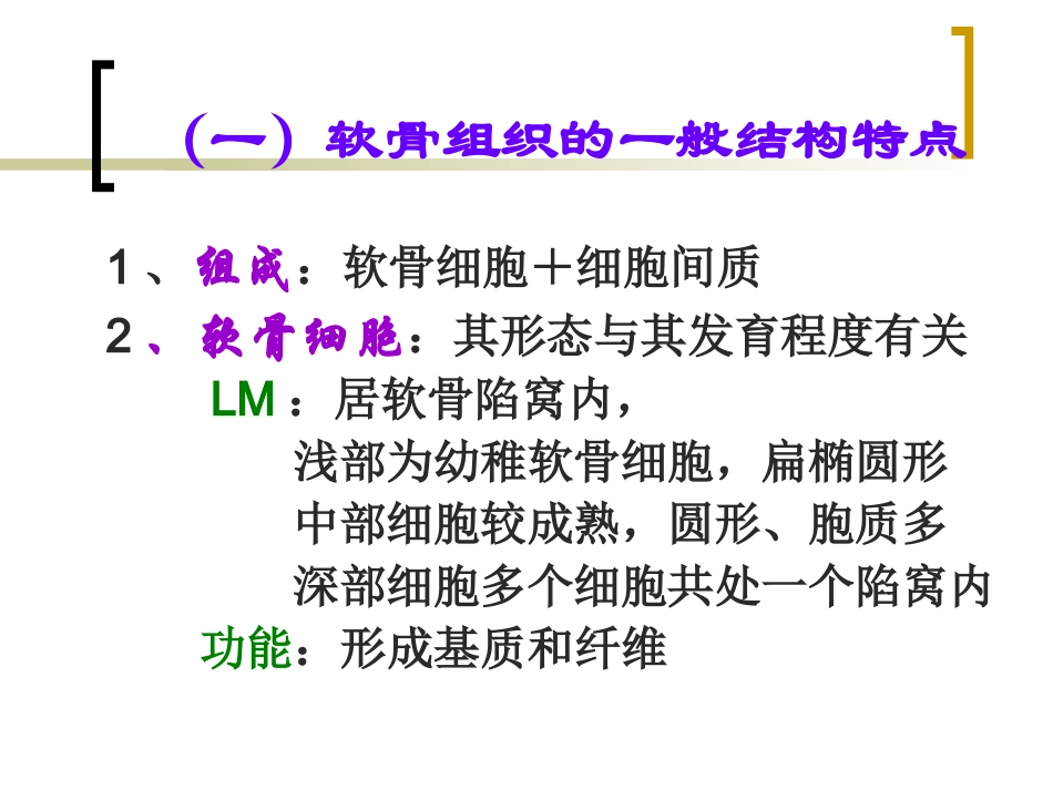 软骨组织和软骨_第2页