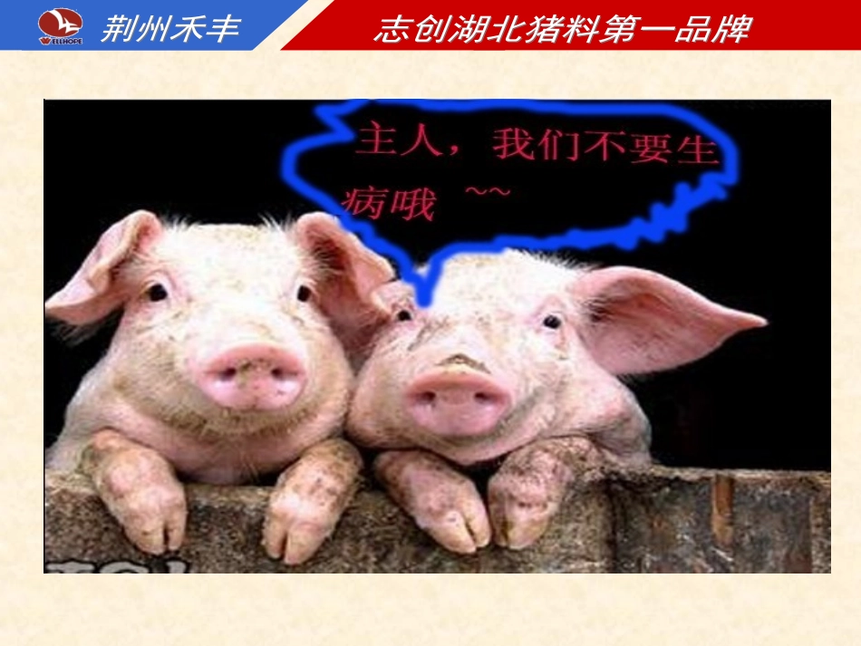 冬季养猪常见病的防治_第3页