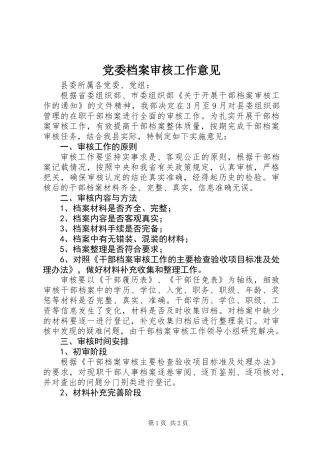 党委档案审核工作意见