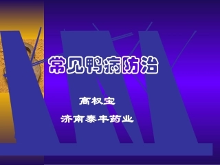 常见鸭病防治