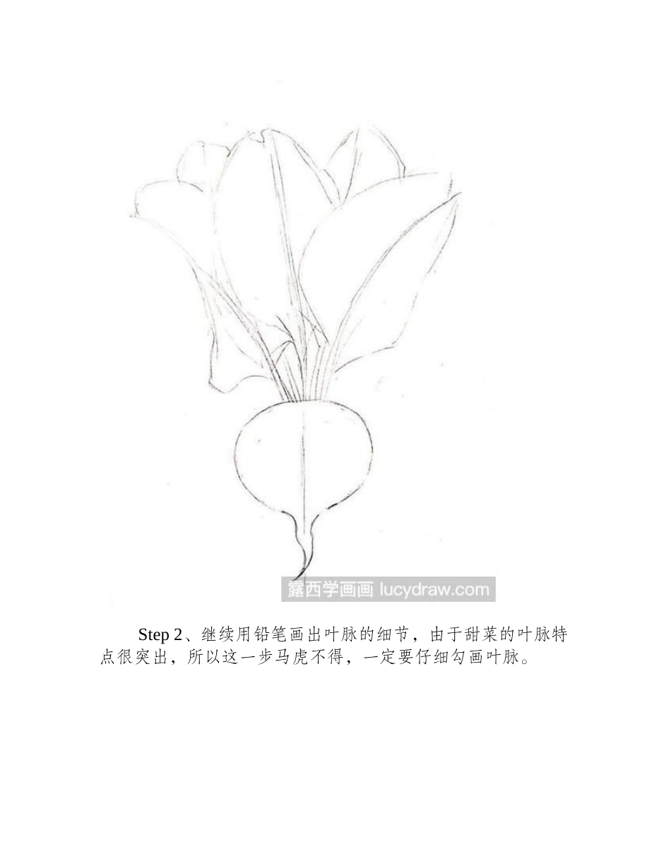 萝卜怎么画钢笔画教程_第2页