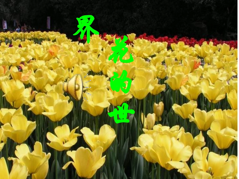 三年级上册13课花钟_第1页