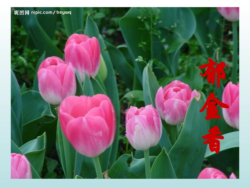 三年级上册13课花钟_第3页