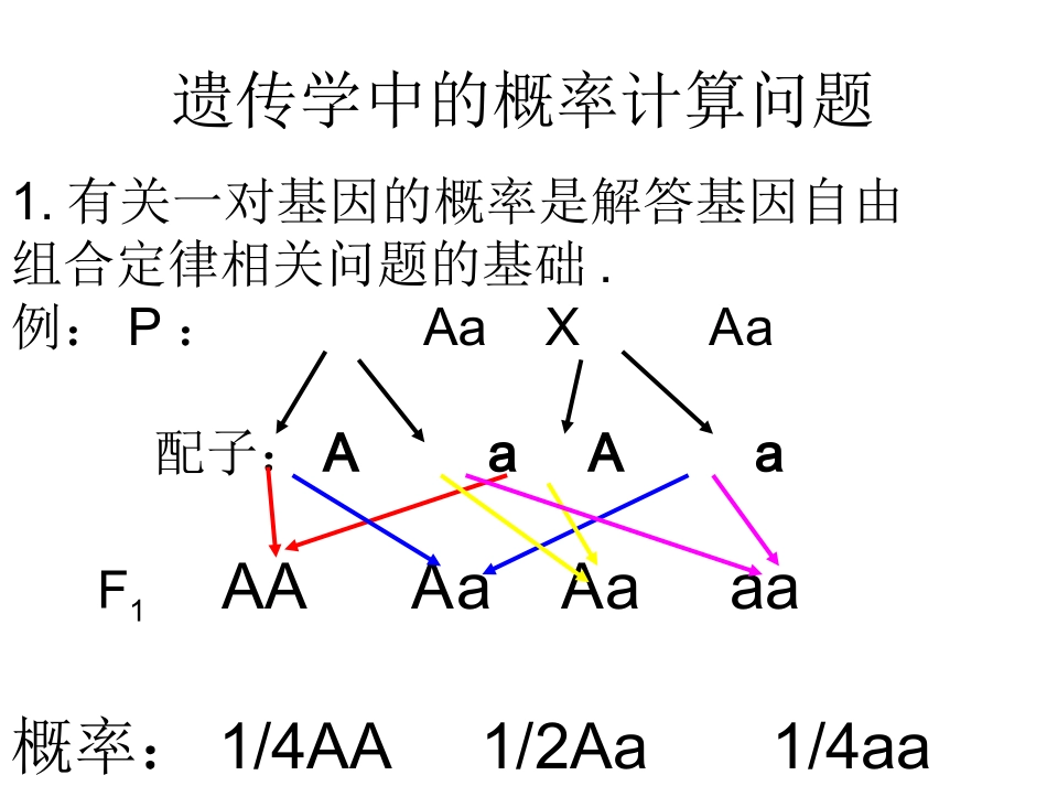 两种遗传病概率计算_第2页