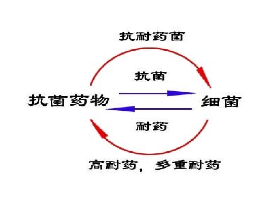 万古霉素耐药的肠球菌VRE_第2页