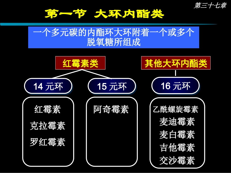 大环内酯类抗生素描述_第2页