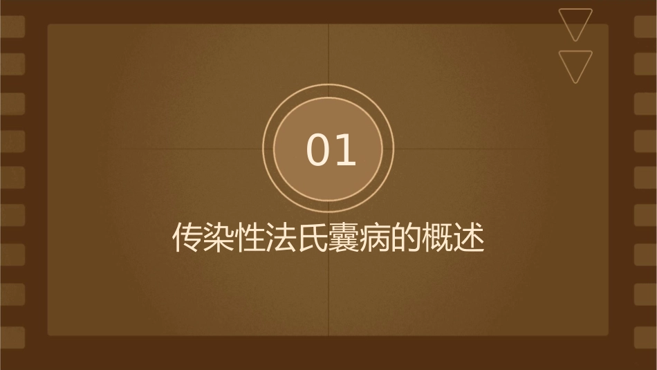 动物传染病学传染性法氏囊病护理课件_第3页