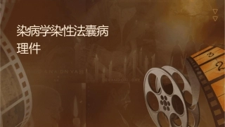 动物传染病学传染性法氏囊病护理课件