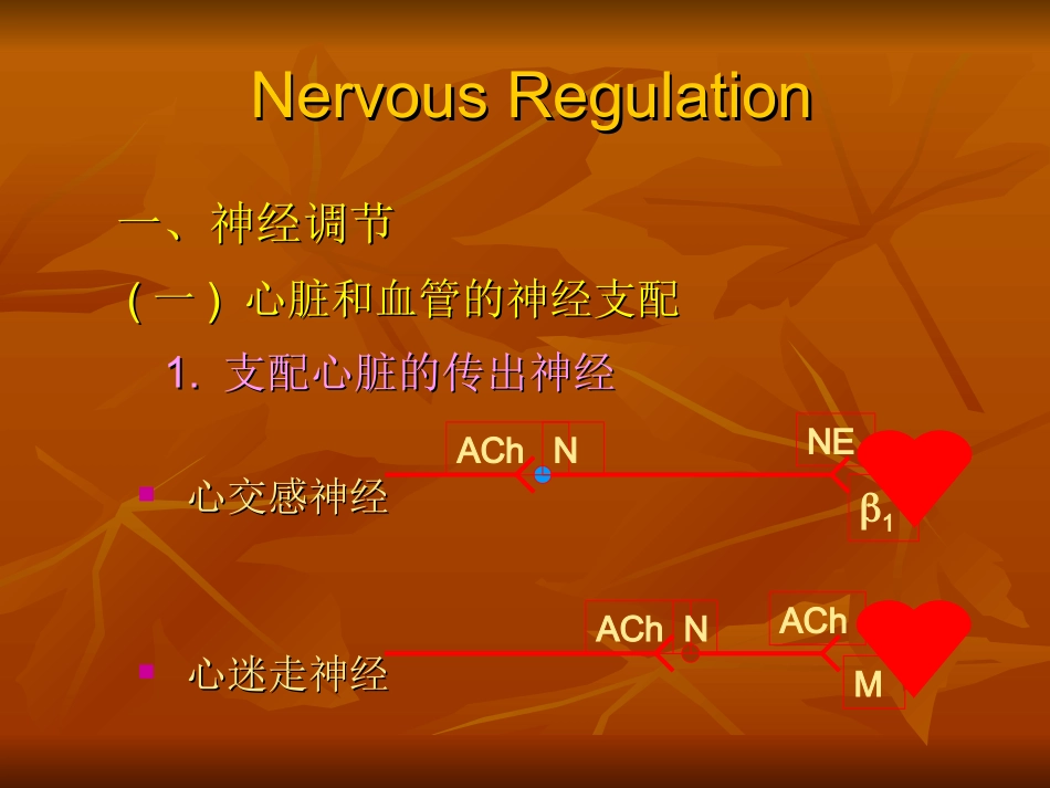 生理血液循环7_第3页