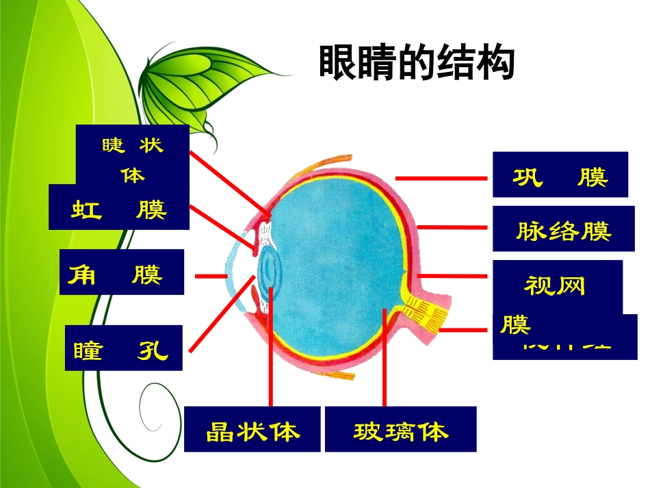 爱眼镜爱视力_第1页