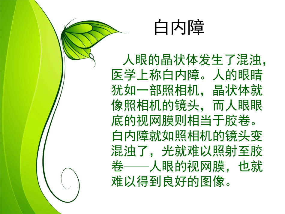 爱眼镜爱视力_第3页