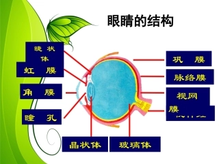 爱眼镜爱视力