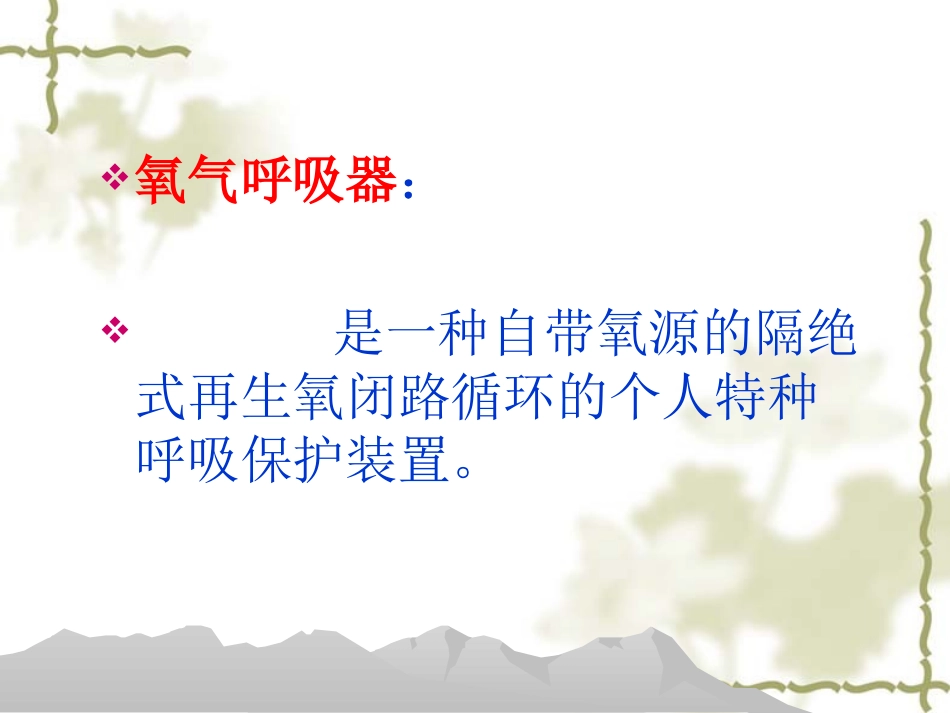 HYZ4正压氧气呼吸器(舱式)精要_第2页
