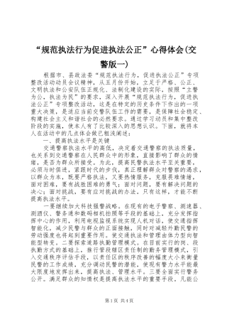 “规范执法行为促进执法公正”心得体会(交警版一) 