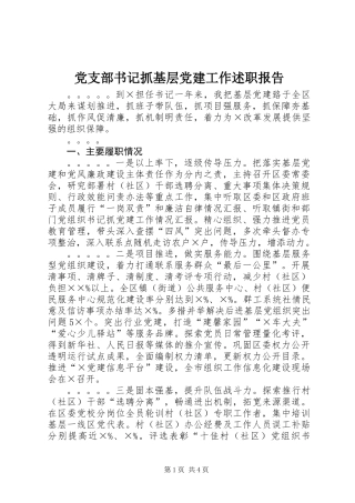 党支部书记抓基层党建工作述职报告 (2)