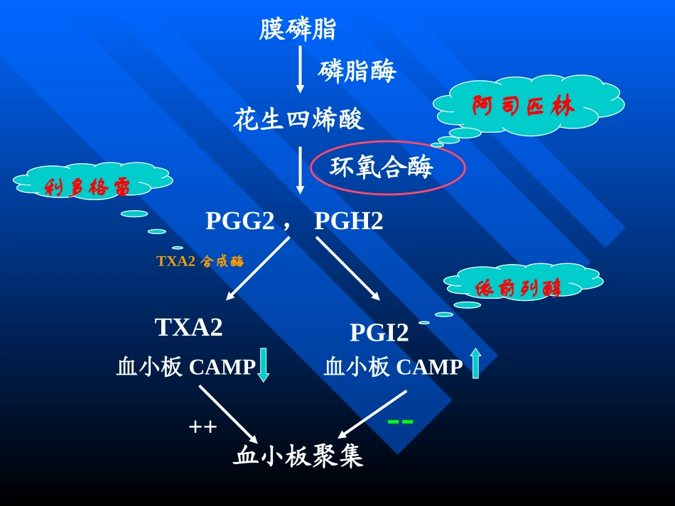 抗-血-小-板-药_第3页
