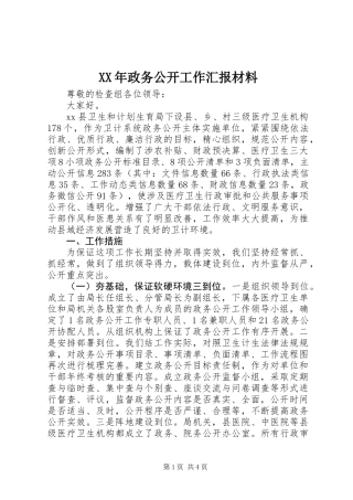 XX年政务公开工作汇报材料