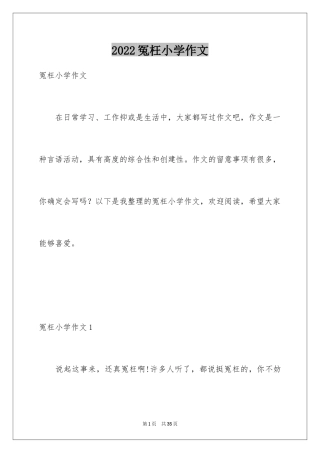2024冤枉小学作文
