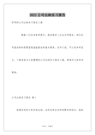 2024公司出纳实习报告_1