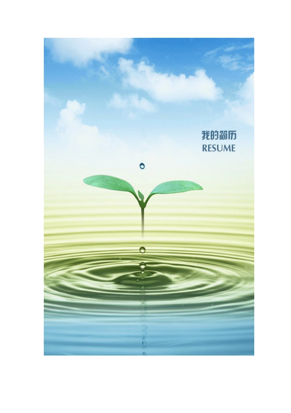 个人简历(宿州学院)_第1页