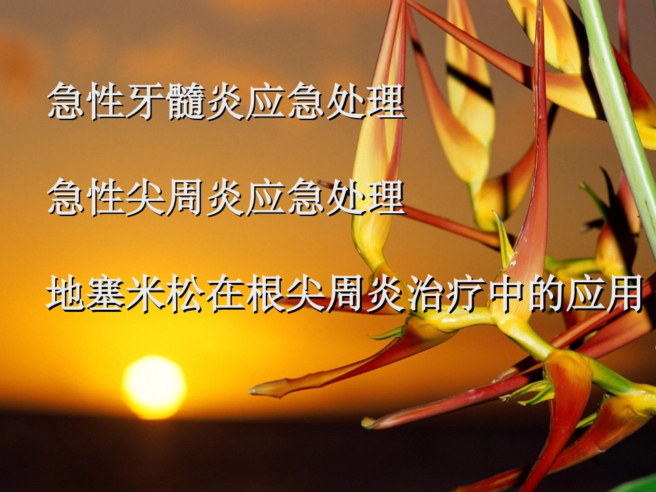 急性牙髓炎应急处理._第1页