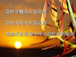 急性牙髓炎应急处理.