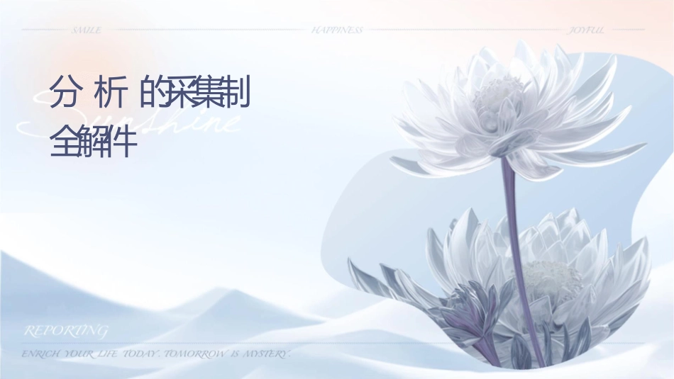 分析试样的采集与制备全解课件_第1页