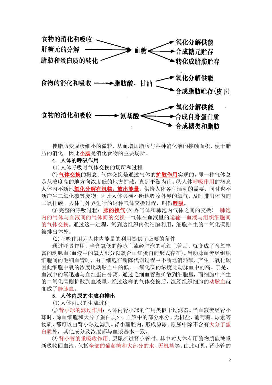 人体的新陈代谢-知识点_第2页
