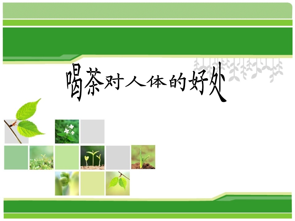 喝茶对人体的好处222：_第1页