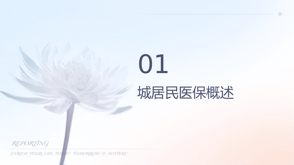 城镇居民医保分析课件_第3页