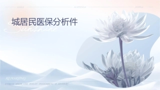 城镇居民医保分析课件