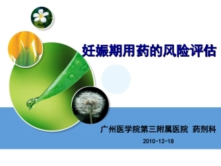 妊娠期用风险评估药