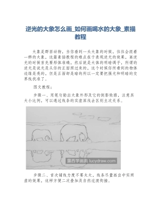 逆光的大象怎么画_如何画喝水的大象_素描教程