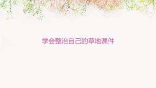 学会整治自己的草地课件