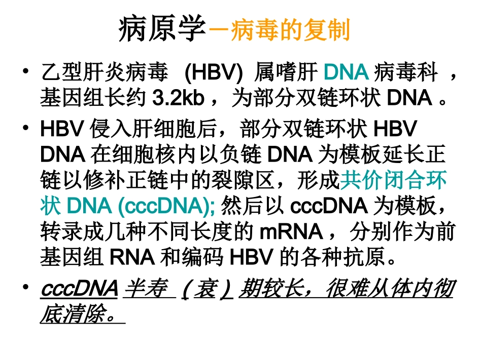 慢性乙型肝炎防治指南资料_第3页