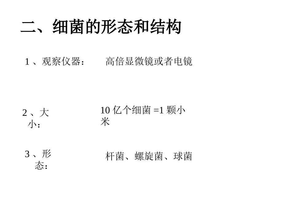 人教版八上《细菌》_第3页