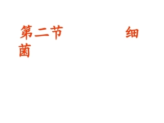 人教版八上《细菌》