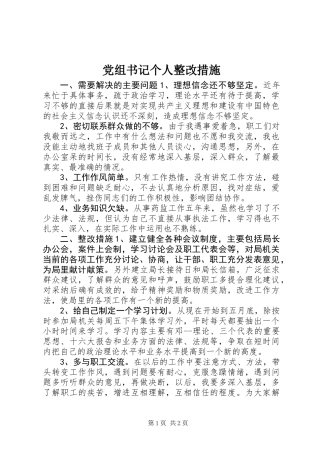 党组书记个人整改措施
