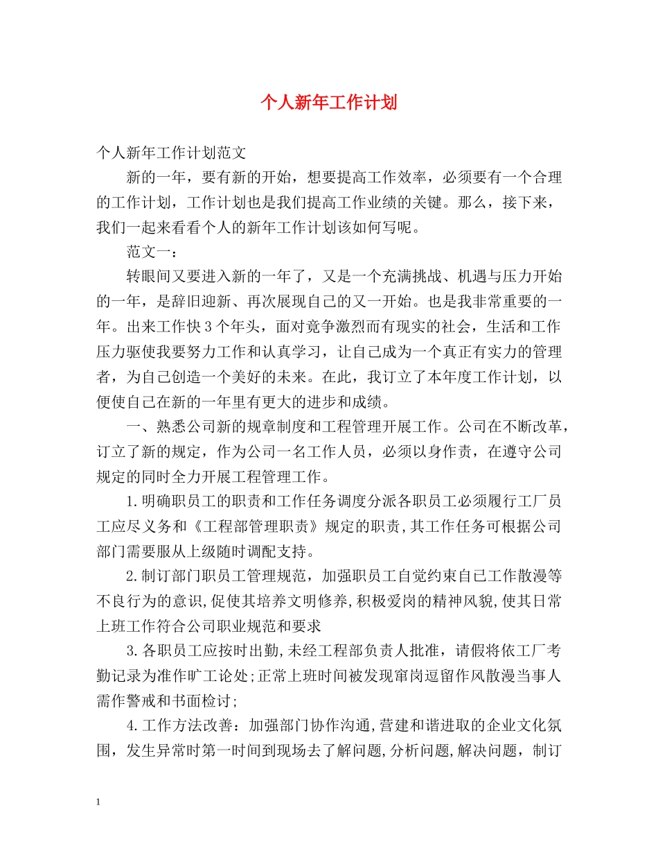 个人新年工作计划 _第1页