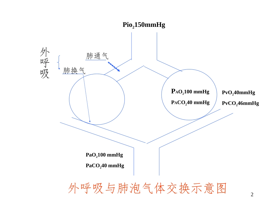 呼吸功能不全-呼吸衰竭_第2页