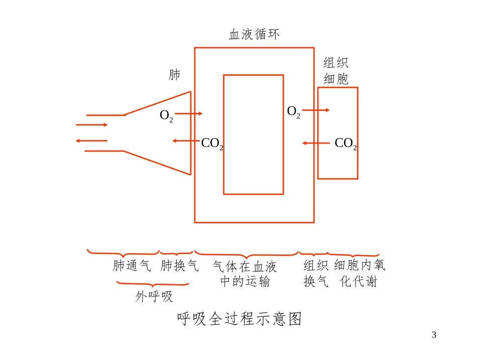 呼吸功能不全-呼吸衰竭_第3页