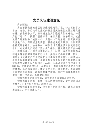 党员队伍建设意见