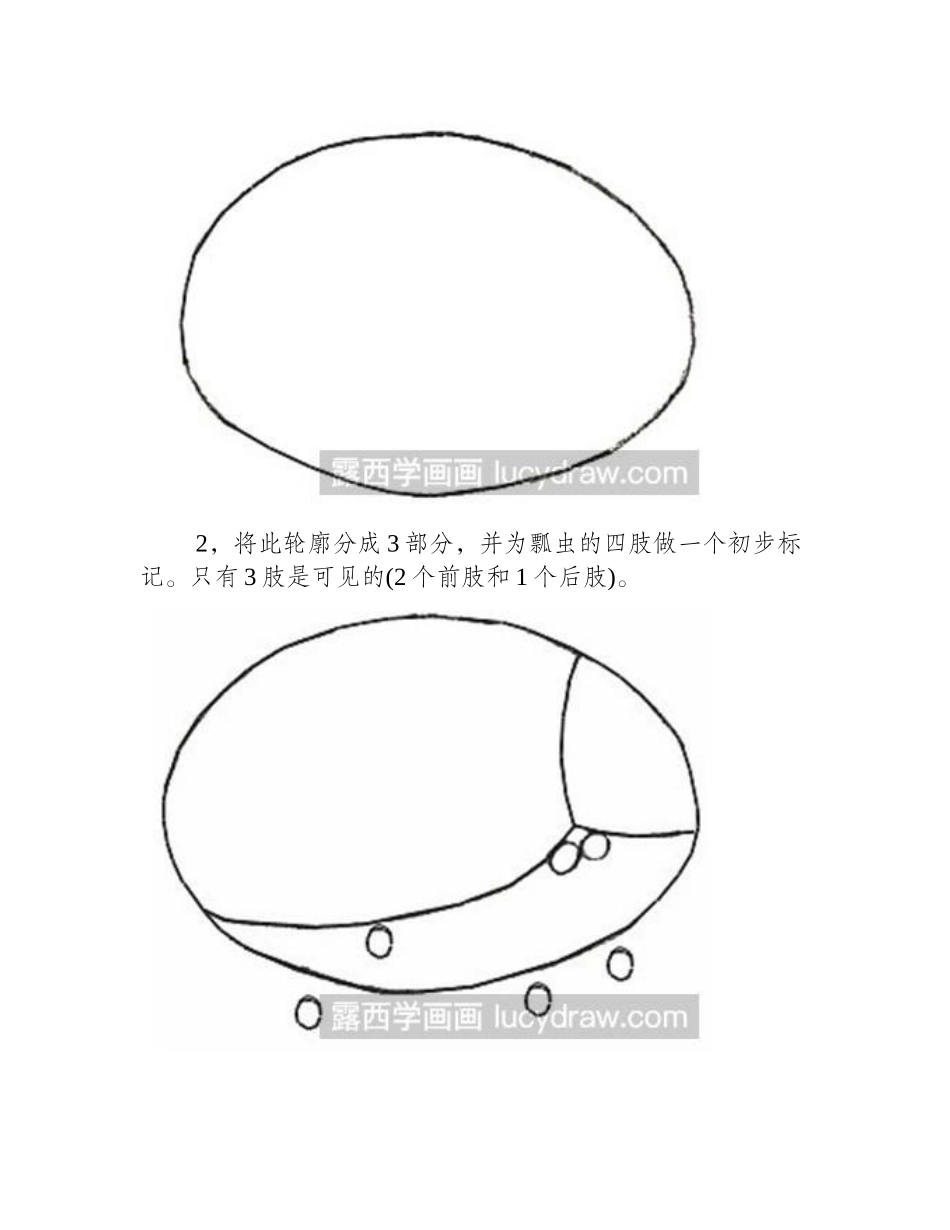 瓢虫速写教程速写教程_第2页