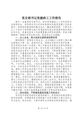 党支部书记党建政工工作报告