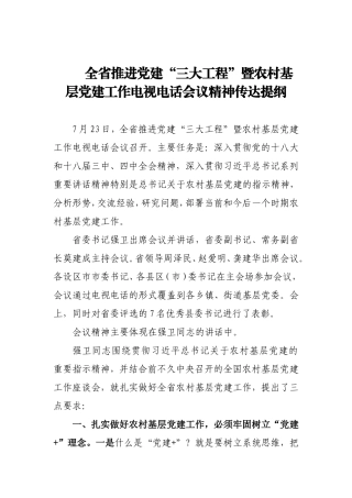 全省推进党建“三大工程”暨农村基层党建工作电视电话会议精神传达提纲