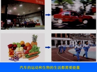 公开课细胞中的糖类和脂质