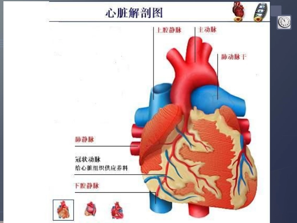 冠心病通俗讲解_第3页