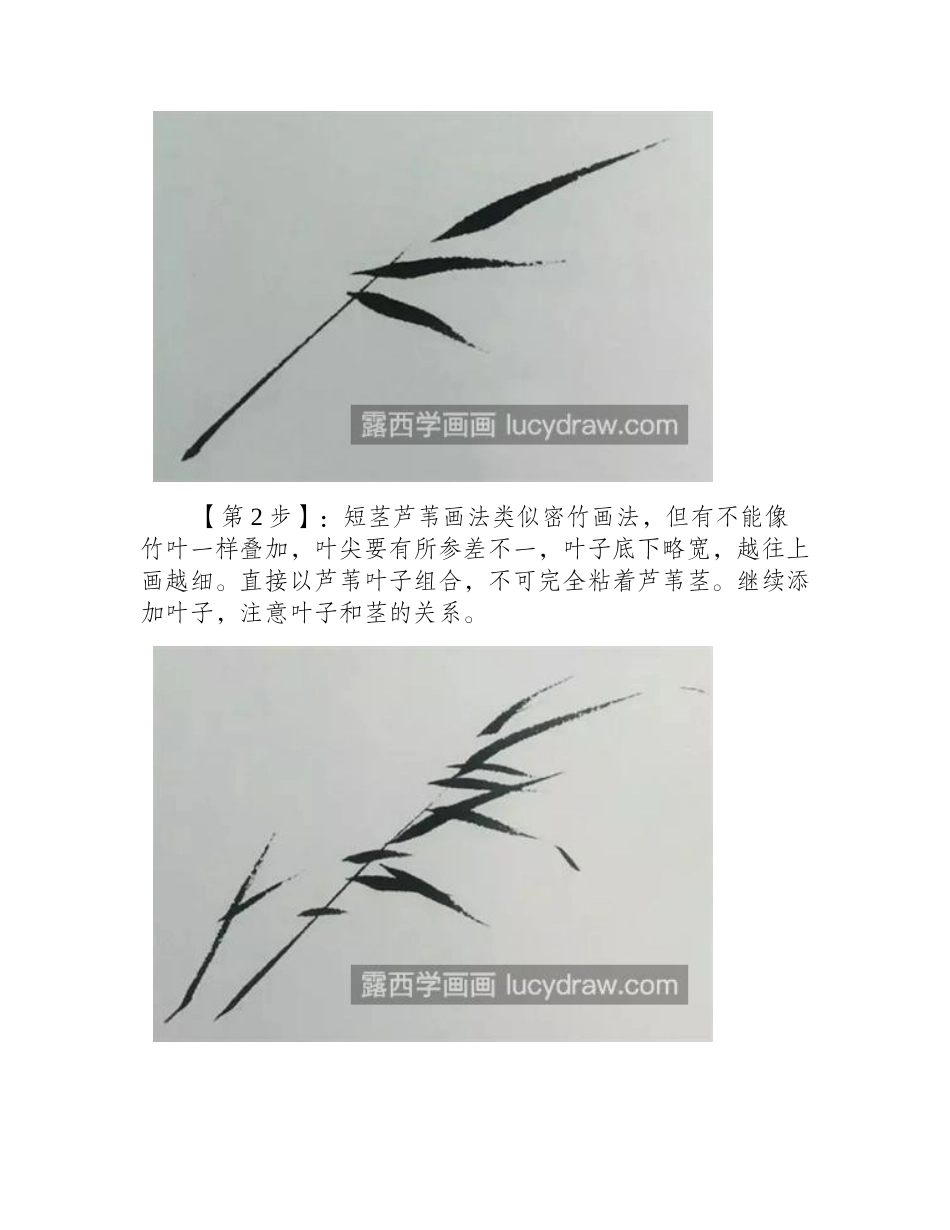 芦苇怎么画_有哪些国画步骤_国画教程_第2页